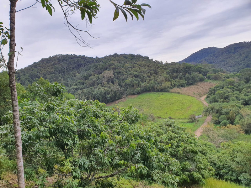 Sítio à venda Centro  com 13233777m² e 1 quarto por R$ 600.000 - 13661652-whatsapp-image-2023-08-18-at-21.jpeg