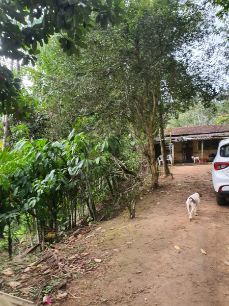 Sítio à venda Centro  com 13233777m² e 1 quarto por R$ 600.000 - 1484912721-whatsapp-image-2023-08-18-at-21.jpeg