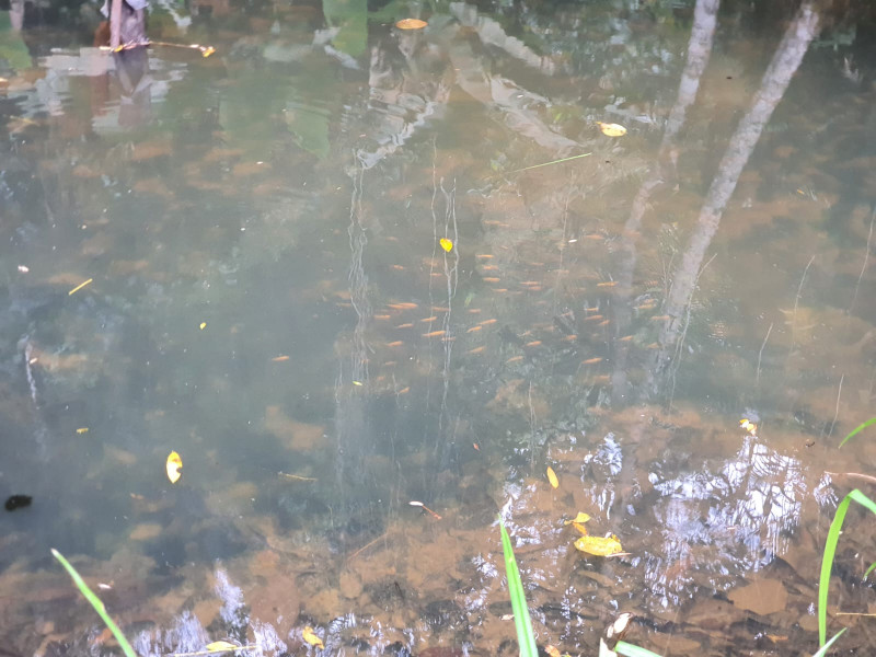 Sítio à venda Centro  com 13233777m² e 1 quarto por R$ 600.000 - 1643299366-whatsapp-image-2023-08-18-at-21.jpeg