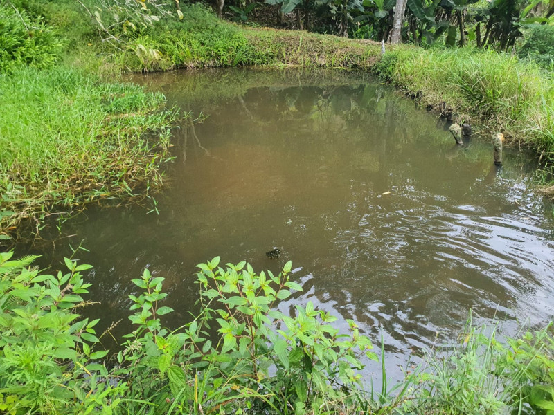 Sítio à venda Centro  com 13233777m² e 1 quarto por R$ 600.000 - 721192839-whatsapp-image-2023-08-18-at-21.jpeg