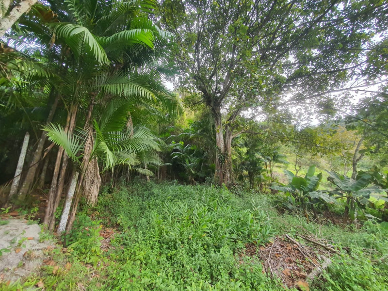 Sítio à venda Centro  com 13233777m² e 1 quarto por R$ 600.000 - 726672079-whatsapp-image-2023-08-18-at-21.jpeg