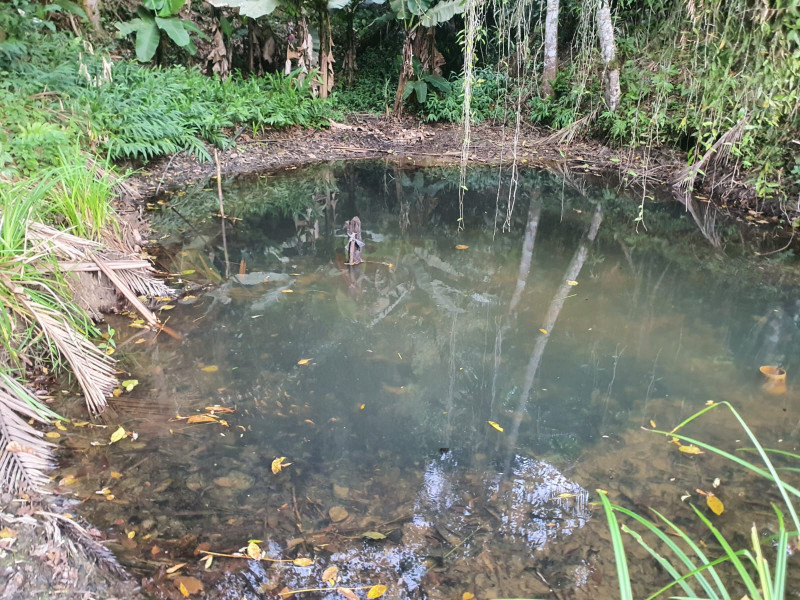 Sítio à venda Centro  com 13233777m² e 1 quarto por R$ 600.000 - 754232148-whatsapp-image-2023-08-18-at-21.jpeg