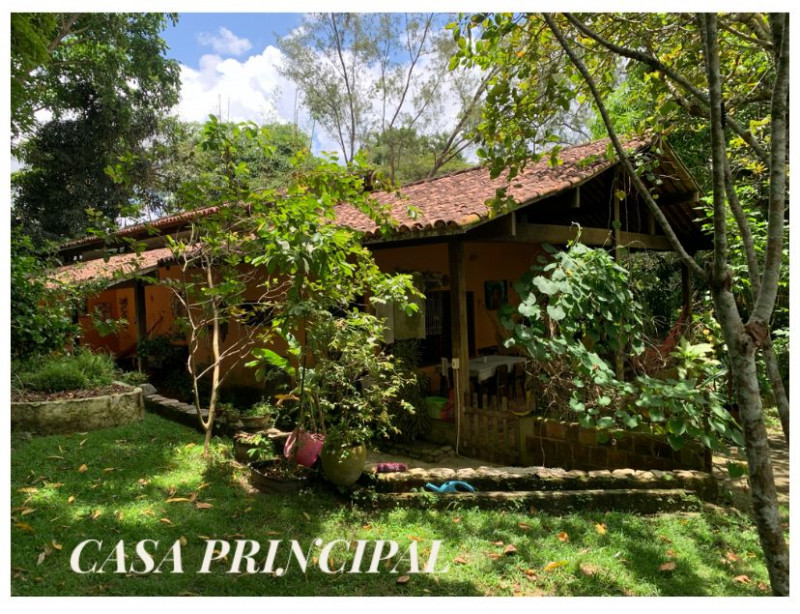 Sítio à venda Aldeia dos Camarás com 9m² e 4 quartos por R$ 1.300.000 - 91232598-img-20230809-wa0079.jpg