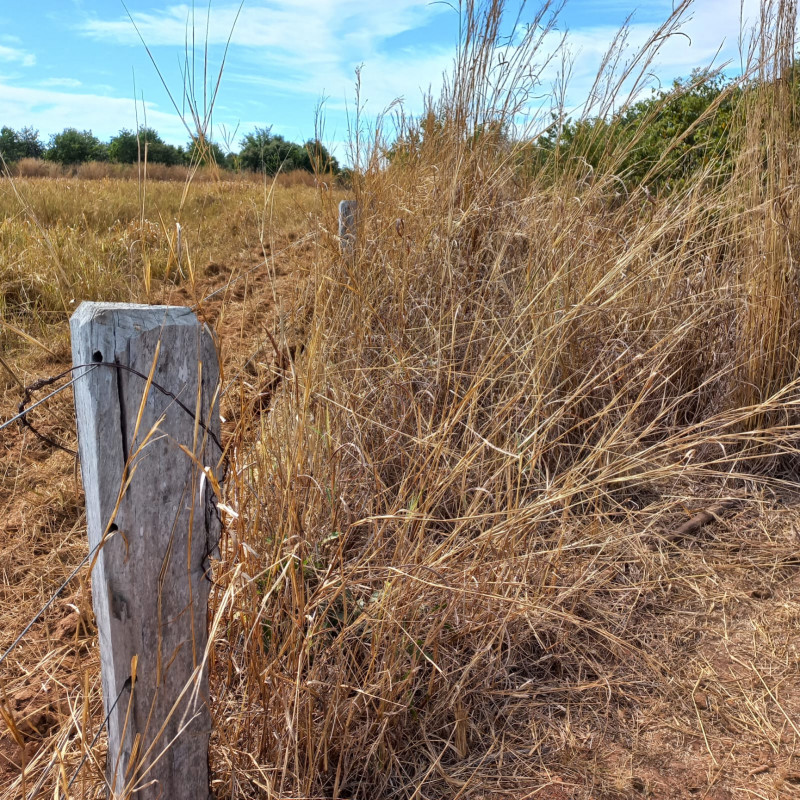 Fazenda à venda Salto da Alegria com 3710000m² e 1 quarto por R$ 33.000.000 - 1402556968-whatsapp-image-2023-08-18-at-12.jpeg