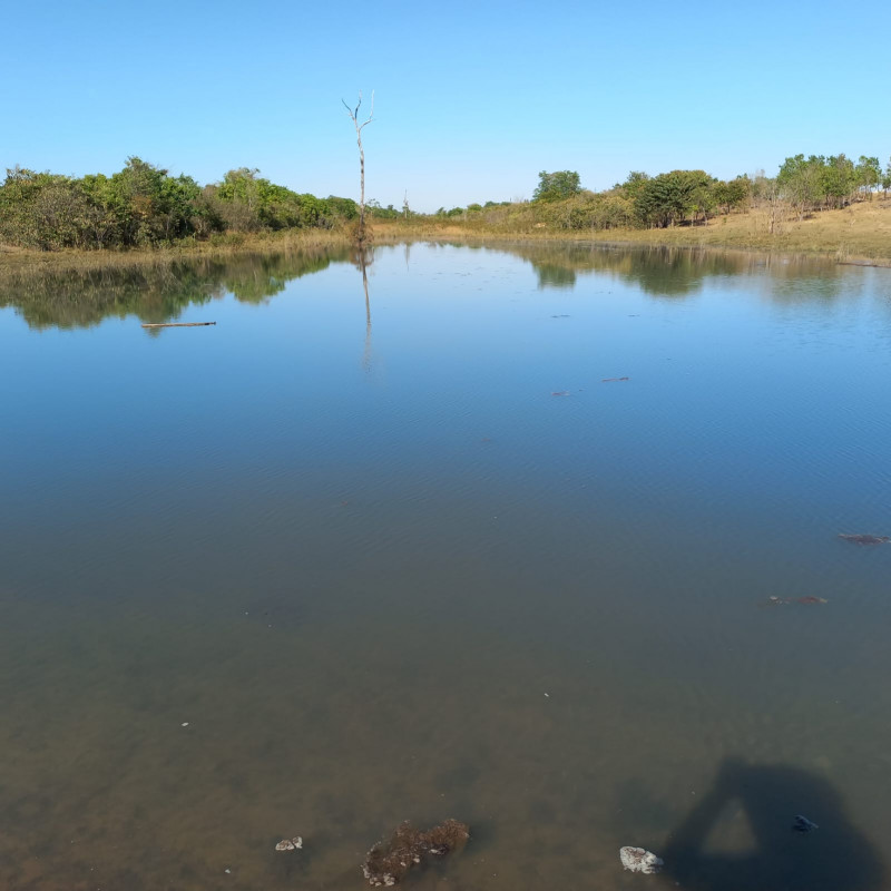Fazenda à venda Salto da Alegria com 3710000m² e 1 quarto por R$ 33.000.000 - 1412289695-whatsapp-image-2023-08-18-at-12.jpeg
