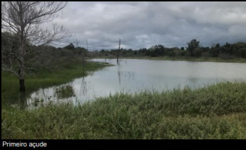 Fazenda à venda Salto da Alegria com 3710000m² e 1 quarto por R$ 33.000.000 - 582640283-whatsapp-image-2023-08-21-at-10.jpeg