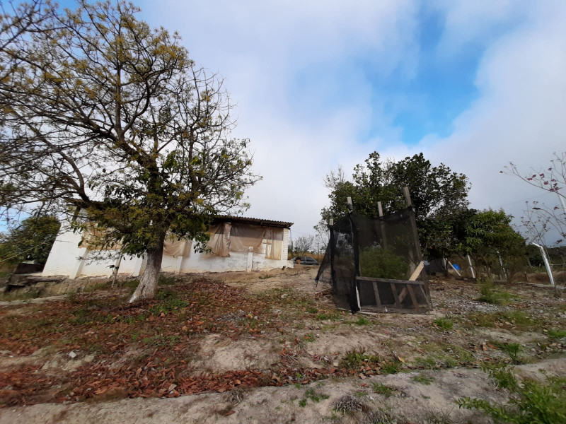 Chácara à venda Centro com 1440m² e 2 quartos por R$ 170.000 - 2138555827-img-20230822-wa0049.jpg