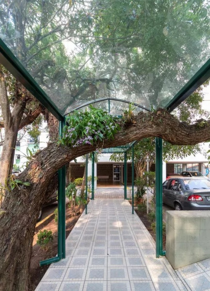 Apartamento à venda Vila Campestre com 80m² e 3 quartos por R$ 360.000 - 1819158604-apto-34.jpg