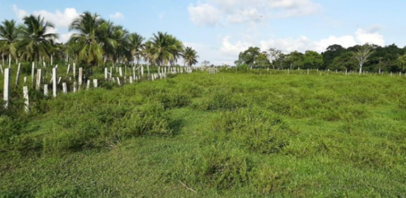 Terreno à venda Centro com 1000m² e 1 quarto por R$ 30.000 - 1502099731-cha22.jpg