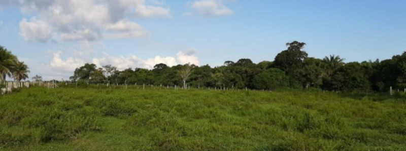 Terreno à venda Centro com 1000m² e 1 quarto por R$ 30.000 - 1970203982-cha21.jpg