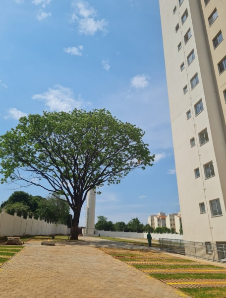 Apartamento à venda Conjunto Habitacional São Deocleciano com 52m² e 2 quartos por R$ 265.000 - 1095704017-screenshot-20230804-182731-chrome.jpg