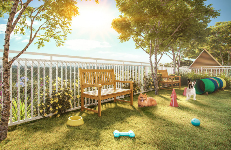 Apartamento à venda Jardim Barro Branco com 46m² e 2 quartos por R$ 269.000 - 1361059591-top-life-pet-place-1.jpg