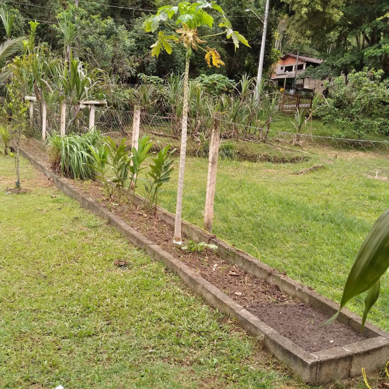 Chácara à venda Centro com 1460m² e 2 quartos por R$ 300.000 - 235840013-whatsapp-image-2023-08-19-at-16.jpeg