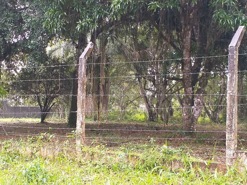 Terreno à venda Estância Antonio Novaes com 251m² e 1 quarto por R$ 50.000 - 1001611609-20210529-130433.jpg