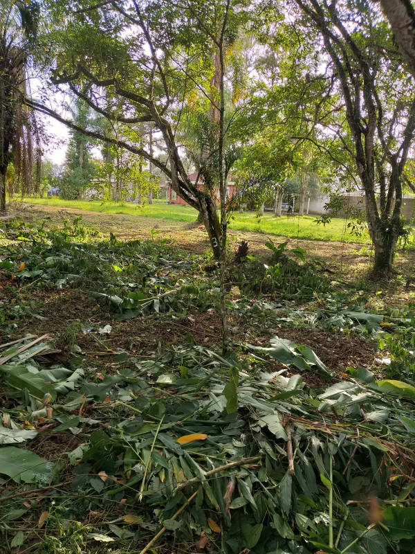 Terreno à venda Estância Antonio Novaes com 251m² e 1 quarto por R$ 50.000 - 1439277799-20210529-152533.jpg