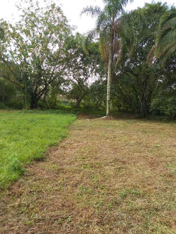 Terreno à venda Estância Antonio Novaes com 251m² e 1 quarto por R$ 50.000 - 1681975123-20210529-145135.jpg