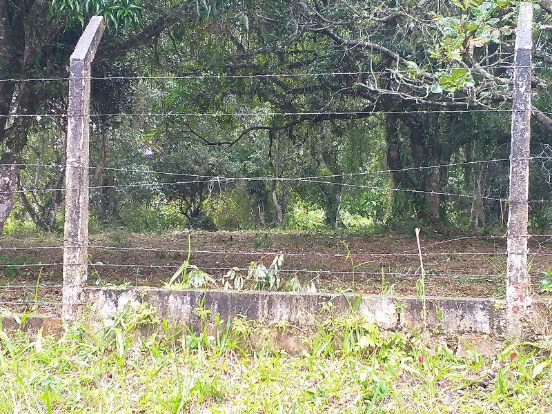 Terreno à venda Estância Antonio Novaes com 251m² e 1 quarto por R$ 50.000 - 1873845860-20210529-130429.jpg