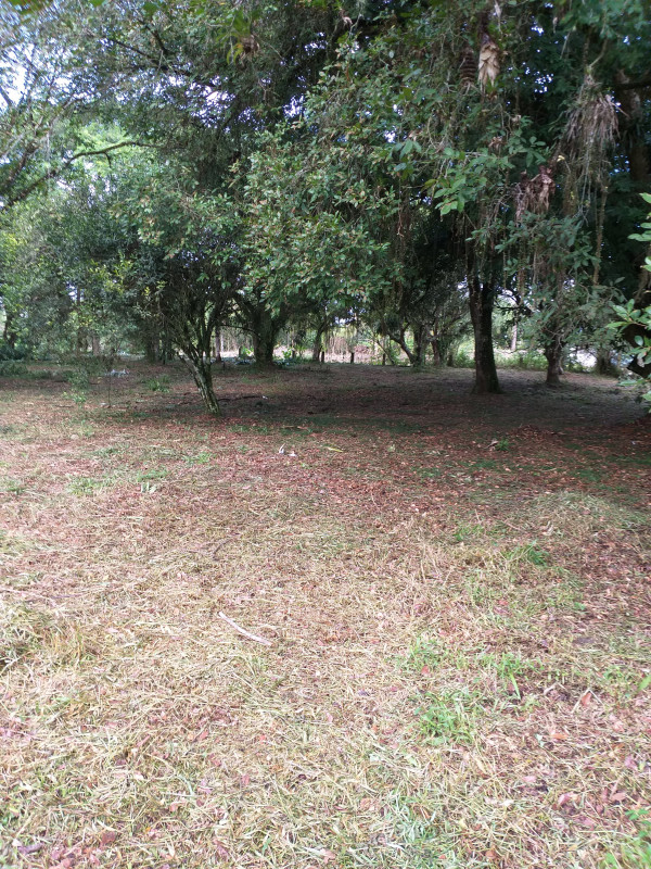 Terreno à venda Estância Antonio Novaes com 251m² e 1 quarto por R$ 50.000 - 1913426999-20210529-145128.jpg