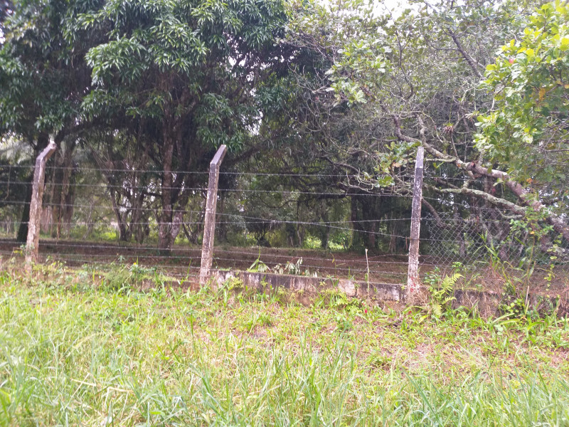 Terreno à venda Estância Antonio Novaes com 251m² e 1 quarto por R$ 50.000 - 1949462152-20210529-130421.jpg