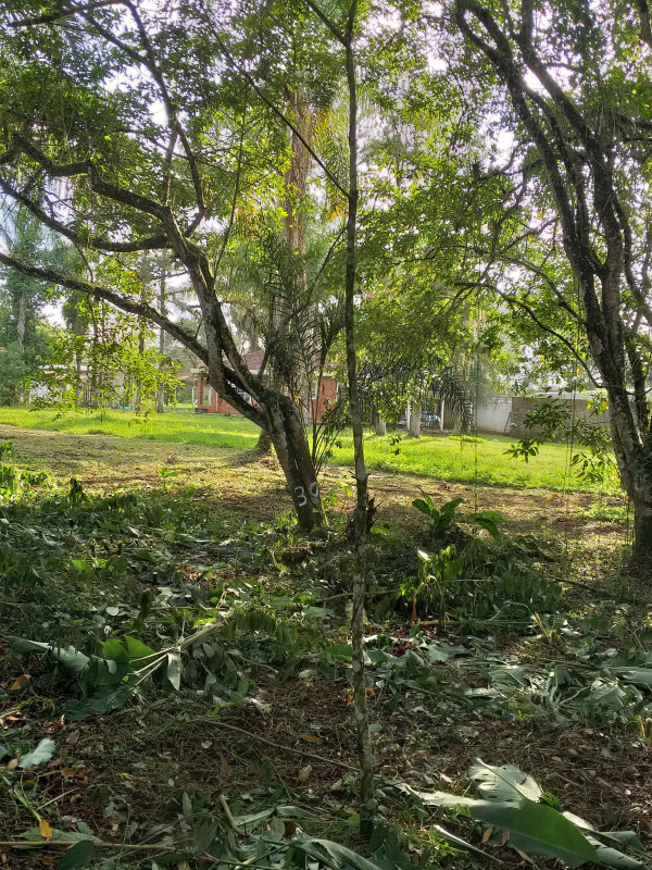 Terreno à venda Estância Antonio Novaes com 251m² e 1 quarto por R$ 50.000 - 282417304-20210529-152404.jpg