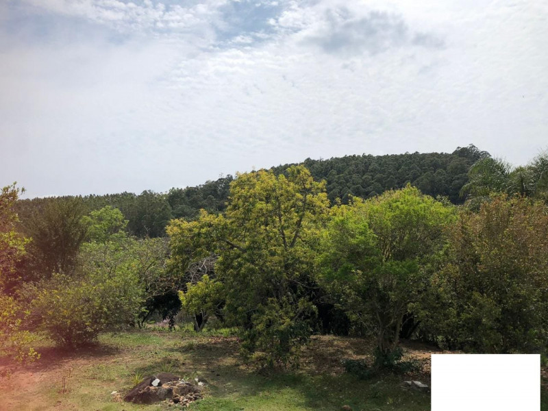 Chácara à venda Centro com 150m² e 1 quarto por R$ 950.000 - 1534954773-izrcyzf9nbtc2yevkgoaskvfc28u9p3izhgncighhfm-plaintext-638288374906027718.jpg