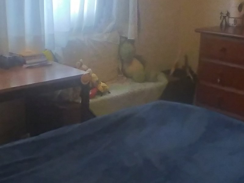 Casa à venda Vila Nova Mazzei com 135m² e 3 quartos por R$ 870.000 - 1492998976-20230825-143025.jpg