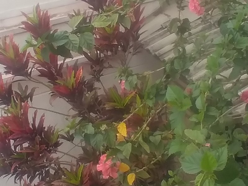 Casa à venda Vila Nova Mazzei com 135m² e 3 quartos por R$ 870.000 - 1615857550-20230825-145430.jpg