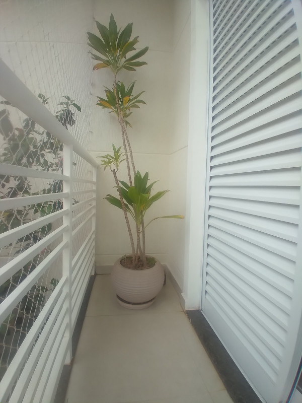 Casa à venda Vila Nova Mazzei com 135m² e 3 quartos por R$ 870.000 - 448915872-20230825-145354.jpg