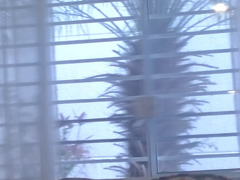 Casa à venda Vila Nova Mazzei com 135m² e 3 quartos por R$ 870.000 - 452063294-20230825-144825.jpg