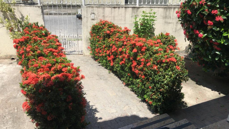 Casa à venda Mutondo com 360m² e 2 quartos por R$ 589.000 - 588515644-img-20230623-wa0216.jpg