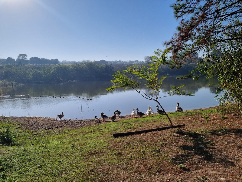 Casa de condomínio à venda Jardim Reserva Bom Viver de Indaiatuba com 253m² e 3 quartos por R$ 1.600.000 - 1004684072-20230803-084059.jpg
