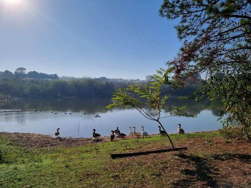 Casa de condomínio à venda Jardim Reserva Bom Viver de Indaiatuba com 253m² e 3 quartos por R$ 1.600.000 - 2097418361-20230803-084103.jpg