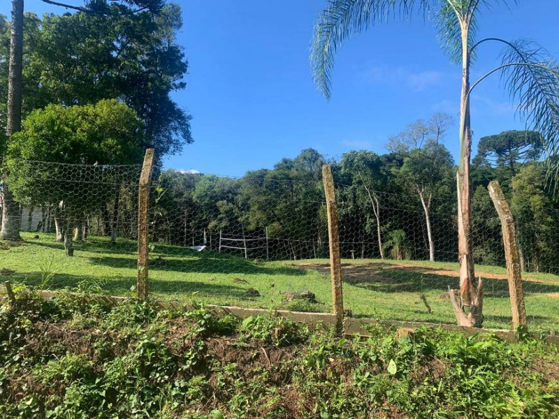 Chácara à venda Centro com 32000m² e 3 quartos por R$ 700.000 - 1003486794-ad70a8fa-c127-4c16-bc74-92c6fdd74bfa.jpg