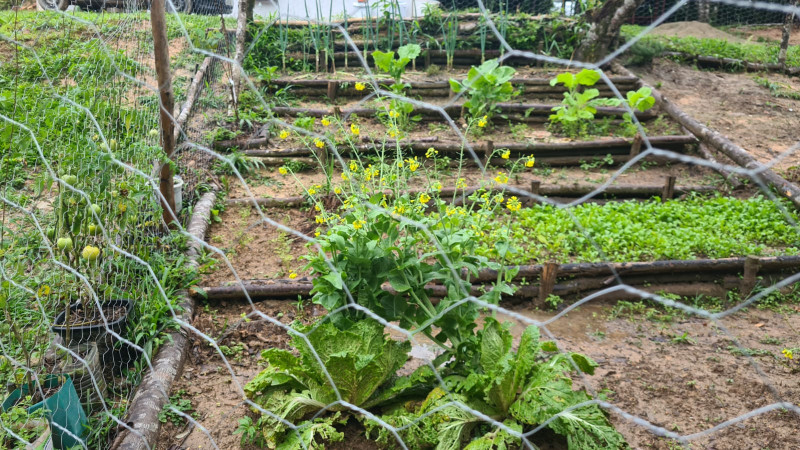 Chácara à venda Centro com 32000m² e 3 quartos por R$ 700.000 - 1369580955-a959cde1-e7f8-45bf-b12b-c0cd8c3d8ac2.jpg