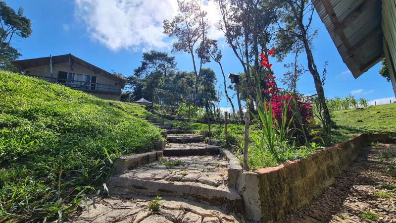 Chácara à venda Centro com 32000m² e 3 quartos por R$ 700.000 - 1478812034-7a5cadeb-310a-4a80-9443-ad5d5c05c825.jpg