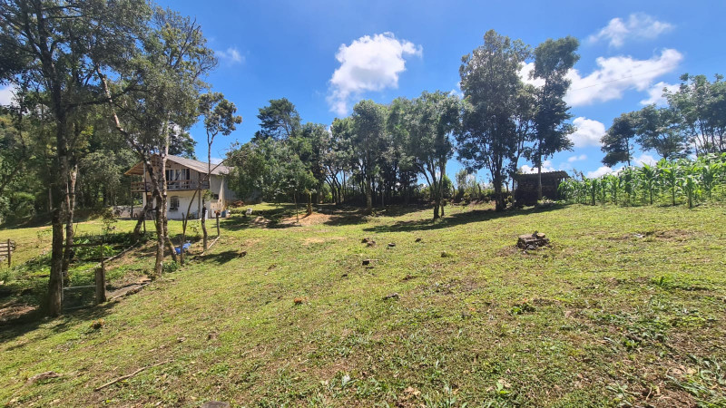 Chácara à venda Centro com 32000m² e 3 quartos por R$ 700.000 - 165731768-475fc37a-3d54-489d-ba78-d66cd3ec223f.jpg