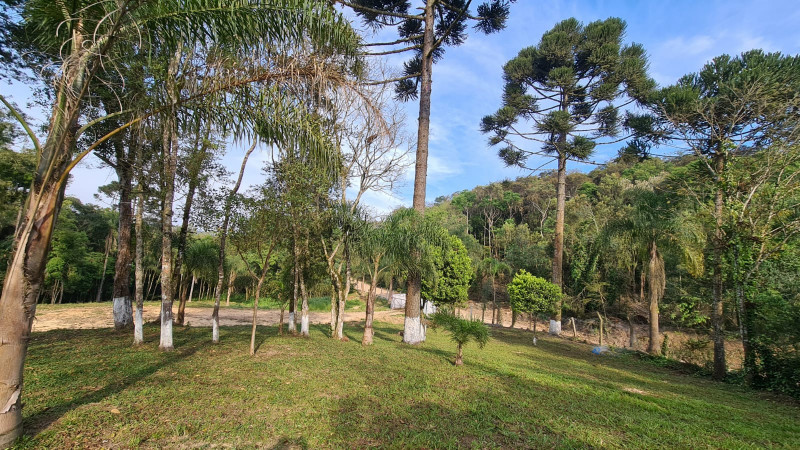 Chácara à venda Centro com 32000m² e 3 quartos por R$ 700.000 - 1799122792-80292b37-c973-4d65-baaa-2ee093a99884.jpg