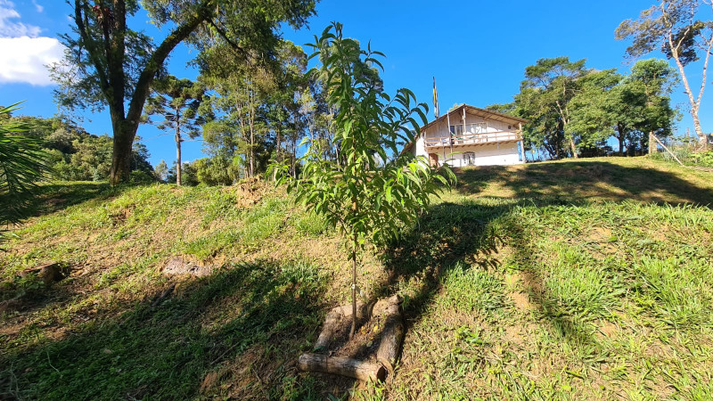 Chácara à venda Centro com 32000m² e 3 quartos por R$ 700.000 - 190013541-90a76920-451b-4102-b257-20c0602fc3da.jpg