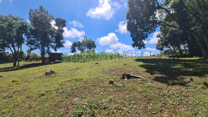 Chácara à venda Centro com 32000m² e 3 quartos por R$ 700.000 - 19893817-73de9cd0-fe92-4491-9a0e-6c8667a3c734.jpg