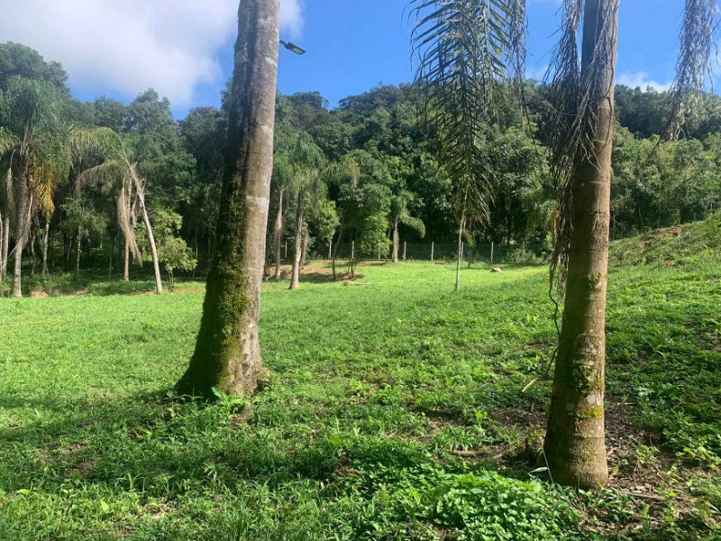 Chácara à venda Centro com 32000m² e 3 quartos por R$ 700.000 - 2012158406-eccc9013-8259-4296-ae9f-f1aeaa7a31c3.jpg