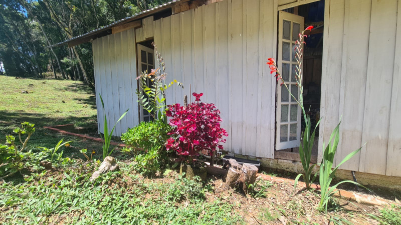 Chácara à venda Centro com 32000m² e 3 quartos por R$ 700.000 - 2123964538-da36f598-3d96-4c4b-bbee-3ef358d92ee6.jpg