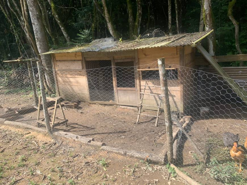 Chácara à venda Centro com 32000m² e 3 quartos por R$ 700.000 - 38226982-d28a8035-66bf-44cb-a0fd-a647b063b188.jpg