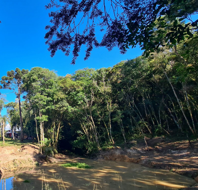 Chácara à venda Centro com 32000m² e 3 quartos por R$ 700.000 - 680900241-abce605b-ae7e-4f36-a2ba-262e95783a79.jpg