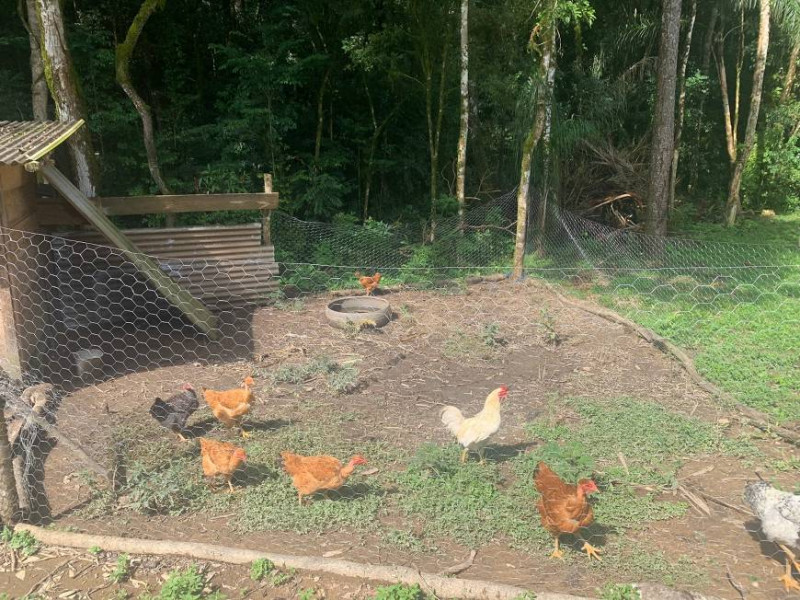 Chácara à venda Centro com 32000m² e 3 quartos por R$ 700.000 - 715611302-de393cf9-2ce4-4dc0-a0d2-e981367499c7.jpg