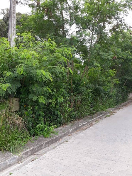 Terreno à venda Recanto com 5000m² e 0 quartos por R$ 1.500.000 - 1581942604-whatsapp-image-2023-08-17-at-19.jpeg