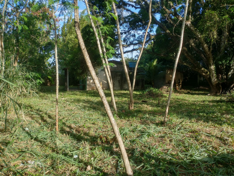 Terreno à venda Recanto com 5000m² e 0 quartos por R$ 1.500.000 - 1829594207-whatsapp-image-2023-08-18-at-14.jpeg