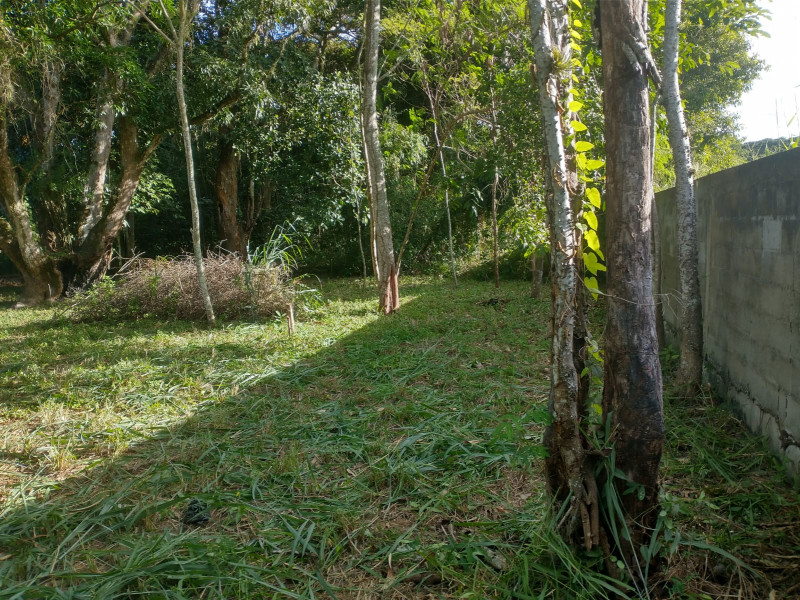 Terreno à venda Recanto com 5000m² e 0 quartos por R$ 1.500.000 - 1888798040-whatsapp-image-2023-08-18-at-14.jpeg