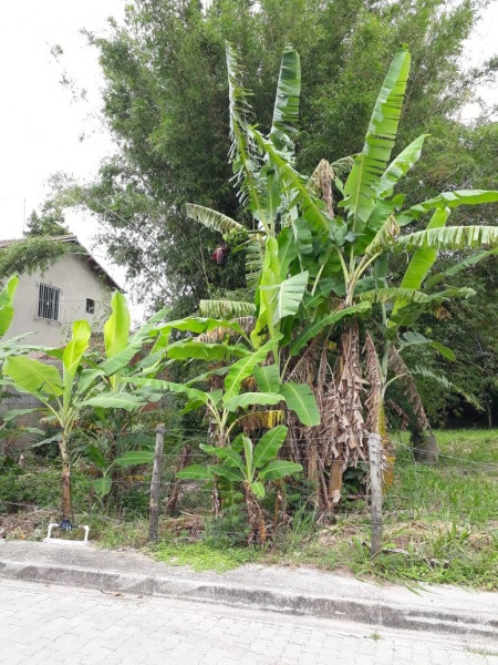 Terreno à venda Recanto com 5000m² e 0 quartos por R$ 1.500.000 - 2088601725-whatsapp-image-2023-08-17-at-19.jpeg