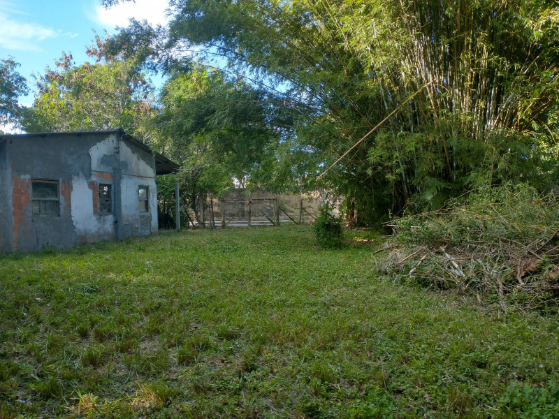 Terreno à venda Recanto com 5000m² e 0 quartos por R$ 1.500.000 - 378200088-whatsapp-image-2023-08-18-at-14.jpeg