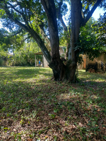 Terreno à venda Recanto com 5000m² e 0 quartos por R$ 1.500.000 - 687106068-whatsapp-image-2023-08-18-at-14.jpeg